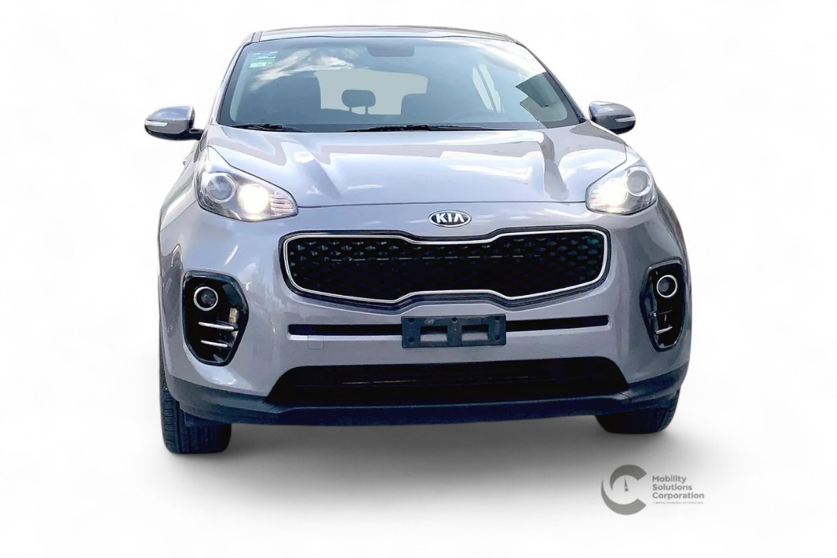 Auto 1